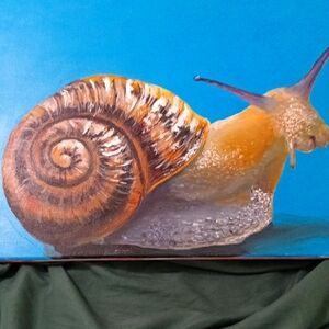 Blue and Brown Snail Art Wall Decor